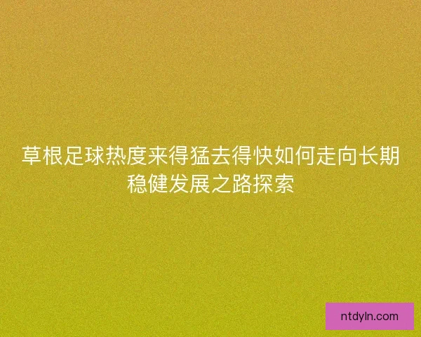 草根足球热度来得猛去得快如何走向长期稳健发展之路探索