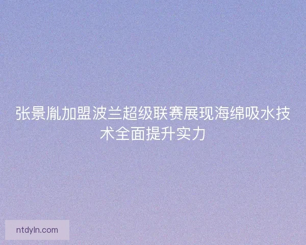 张景胤加盟波兰超级联赛展现海绵吸水技术全面提升实力
