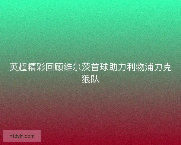 英超精彩回顾维尔茨首球助力利物浦力克狼队