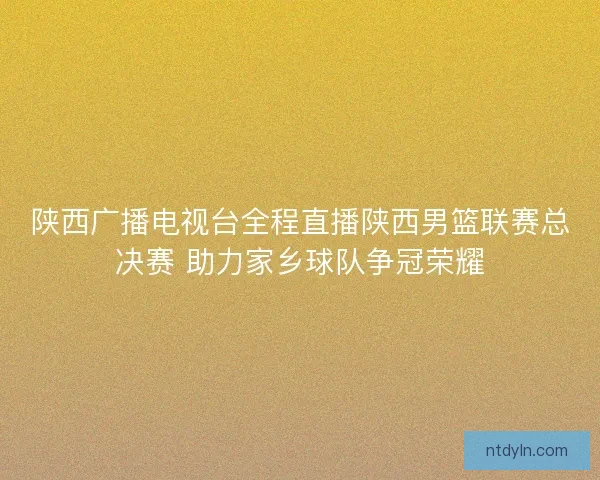 陕西广播电视台全程直播陕西男篮联赛总决赛 助力家乡球队争冠荣耀